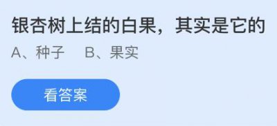 银杏树上结的白果其实是它的什么？蚂蚁庄园5