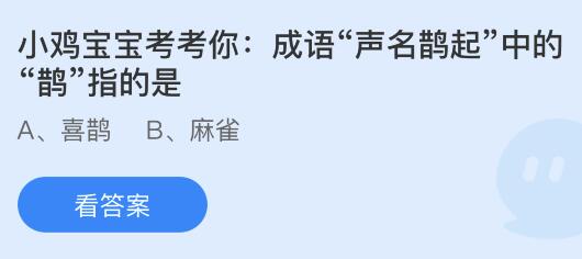 成语“声名鹊起”中的“鹊”指的是什么？蚂蚁庄园小鸡课堂最新答案5月22日