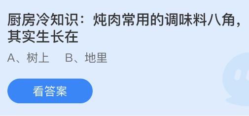 炖肉常用的调味料八角其实生长在哪里？蚂蚁庄园今日答案最新5.28