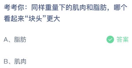 同样重量下的肌肉和脂肪哪个看起来“块头”更大？蚂蚁庄园今日答案最新5.29