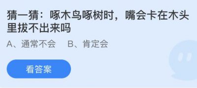 啄木鸟啄树时嘴会卡在木头里拔不出来吗？蚂蚁