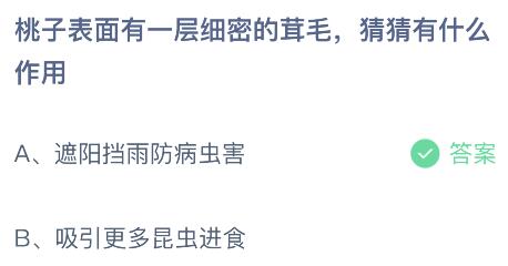 桃子表面有一层细密的茸毛有什么作用？蚂蚁庄园今日答案最新6.1