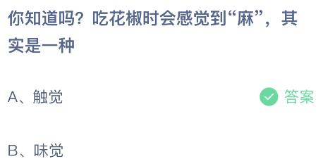 吃花椒时会感觉到“麻”其实是一种什么感觉？蚂蚁庄园小鸡课堂最新答案6月6日