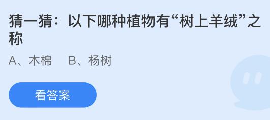 以下哪种植物有“树上羊绒”之称？蚂蚁庄园今日答案最新6.7