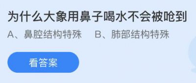 为什么大象用鼻子喝水不会被呛到？蚂蚁庄园小