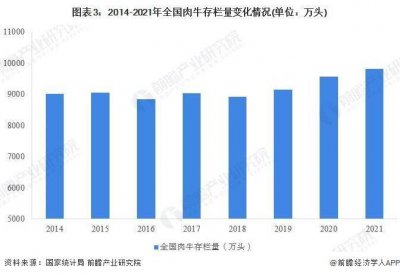 牛肉价格跳水！养一头牛亏6000元 养殖户何去何从