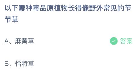 以下哪种毒品原植物长得像野外常见的节节草？蚂蚁庄园小鸡课堂最新答案6月26日