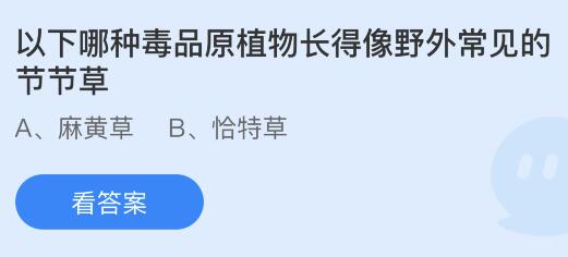 以下哪种毒品原植物长得像野外常见的节节草？蚂蚁庄园小鸡课堂最新答案6月26日