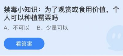 为了观赏或食用价值个人可以种植罂粟吗？蚂蚁