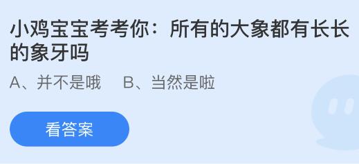 所有的大象都有长长的象牙吗？蚂蚁庄园今日答案最新6.27