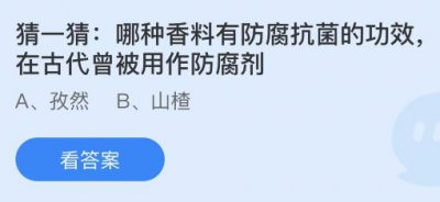 哪种香料有防腐抗菌的功效在古代曾被用作防腐