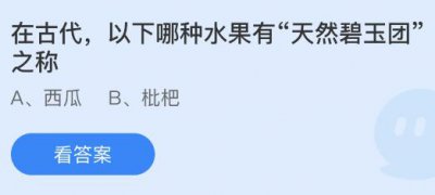 在古代以下哪种水果有“天然碧玉团”之称？蚂