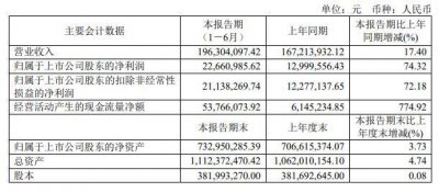 百花医药2024上半年净利润增超七成 得益于多方面