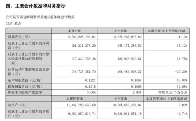 网宿科技晒上半年成绩单：净利润增长15.12% 经营