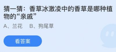 香草冰激凌中的香草是哪种植物的“亲戚”？蚂