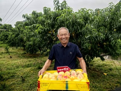 拼多多晒Q2成绩单 推出“扶持与治理”双项举措