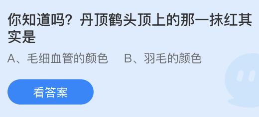 丹顶鹤头顶上的那一抹红其实是什么的颜色？蚂蚁庄园小鸡课堂最新答案9月11日