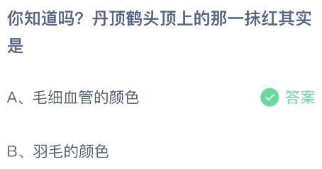 丹顶鹤头顶上的那一抹红其实是什么的颜色？蚂蚁庄园小鸡课堂最新答案9月11日