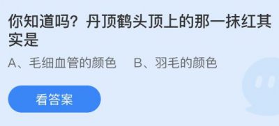 丹顶鹤头顶上的那一抹红其实是什么的颜色？蚂