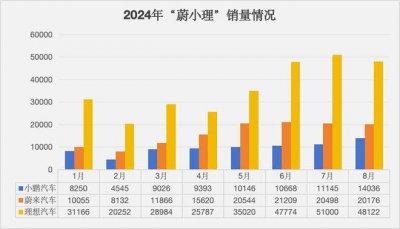 小鹏低价车真正需要重视的对手