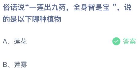 俗话说“一莲出九药，全身皆是宝”说的是以下哪种植物？蚂蚁庄园今日答案最新9.24