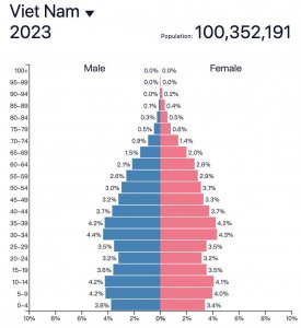 收入暴涨665%！越南年轻人疯抢盲盒 中国卖家都忙