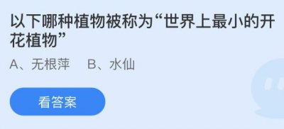 以下哪种植物被称为“世界上最小的开花植物”