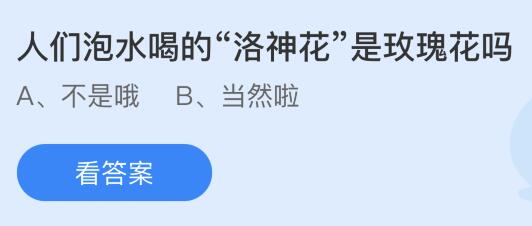 人们泡水喝的“洛神花”是玫瑰花吗？蚂蚁庄园今日答案最新10.25