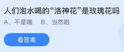 人们泡水喝的“洛神花”是玫瑰花吗？蚂蚁庄园