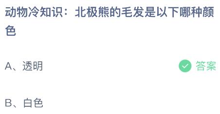 北极熊的毛发是以下哪种颜色？蚂蚁庄园今日答案最新11.16