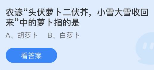 农谚“头伏萝卜二伏芥，小雪大雪收回来”中的萝卜指的是什么？蚂蚁庄园课堂最新答案11月22日