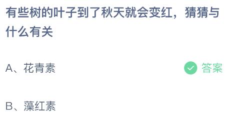 有些树的叶子到了秋天就会变红，与什么有关？蚂蚁庄园课堂最新答案11月23日