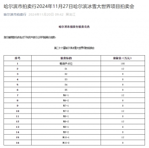 哈尔滨冰雪大世界未开先火 糖葫芦摊位100万起拍