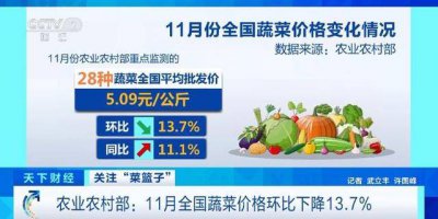 入冬大白菜价格降三成！11月全国蔬菜价格环比下