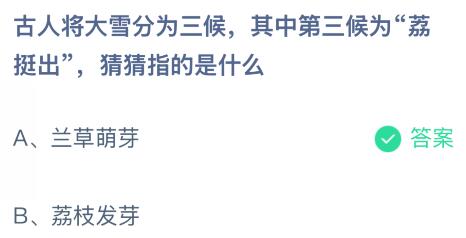 古人将大雪分为三候，其中第三候为“荔挺出”指的是什么？蚂蚁庄园课堂最新答案12月6日