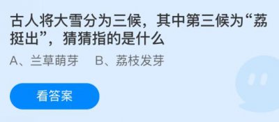 古人将大雪分为三候，其中第三候为“荔挺出”