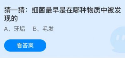 细菌最早是在哪种物质中被发现的？蚂蚁庄园1