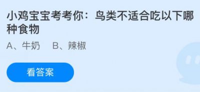 鸟类不适合吃以下哪种食物？牛奶还是辣椒 蚂蚁