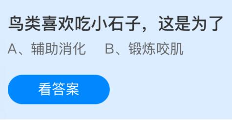 鸟类喜欢吃小石子这是为了干什么？蚂蚁庄园今日答案      1.4