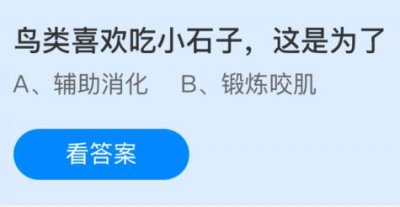 鸟类喜欢吃小石子这是为了干什么？蚂蚁庄园1