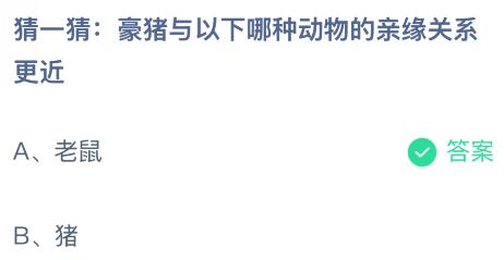 豪猪与以下哪种动物的亲缘关系更近？老鼠还是猪？蚂蚁庄园今日答案最新2.8