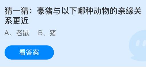 豪猪与以下哪种动物的亲缘关系更近？老鼠还是猪？蚂蚁庄园今日答案最新2.8