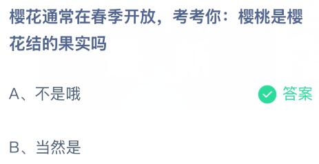 樱花通常在春季开放，樱桃是樱花结的果实吗？蚂蚁庄园课堂答案最新2月11日