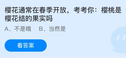 樱花通常在春季开放，樱桃是樱花结的果实吗？蚂蚁庄园课堂答案最新2月11日