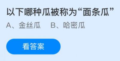 以下哪种瓜被称为“面条瓜”？金丝瓜还是哈密