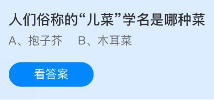 人们俗称的“儿菜”学名是哪种菜？蚂蚁庄园今日答案最新2.15