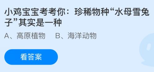 珍稀物种“水母雪兔子”其实是一种什么？蚂蚁庄园课堂答案最新2月22日