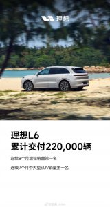 连续9个月中大型SUV销冠！理想L6累