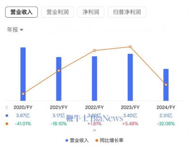 36氪2024年度财报出炉：营收下滑三成，净亏损扩